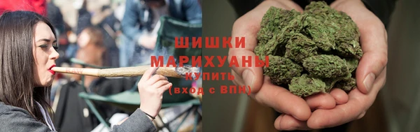 дживик Костерёво