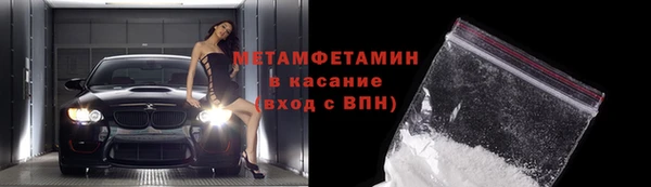 трава Коряжма