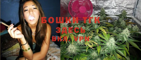 дживик Костерёво