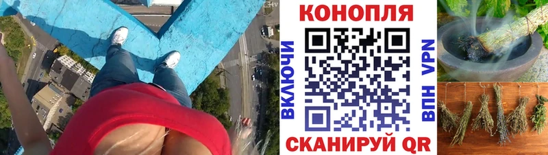Бошки Шишки THC 21%  где купить наркоту  Нарткала 